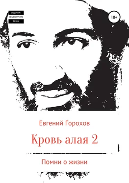 Евгений Горохов Кровь алая-2. Помни о жизни обложка книги