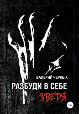 Валерий Черных Разбуди в себе зверя обложка книги