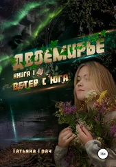 Татьяна Грач - Двоемирье. Книга 1. Ветер с юга