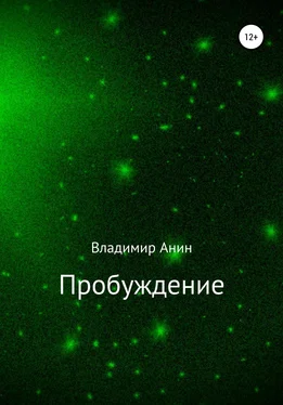 Владимир Анин Пробуждение обложка книги