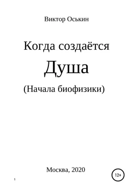 Виктор Оськин Когда создаётся душа. Начала биофизики обложка книги