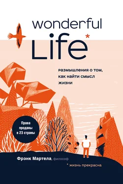 Фрэнк Мартела Wonderful Life. Размышления о том, как найти смысл жизни обложка книги