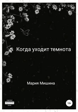 Мария Мишина Когда уходит темнота обложка книги