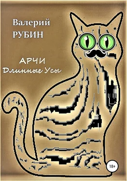 Валерий Рубин Арчи Длинные Усы обложка книги