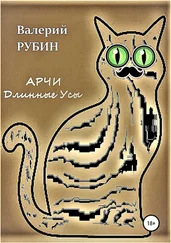 Валерий Рубин - Арчи Длинные Усы