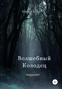Алексей Базюк Волшебный колодец обложка книги