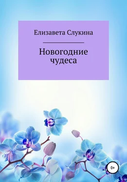 Елизавета Слукина Новогодние чудеса обложка книги