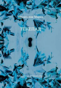 Мария Введенская Тенепад обложка книги