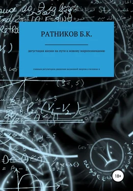 Борис Ратников Дегустация жизни на пути к новому миропониманию обложка книги