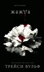 Трейси Вульф - Жажда