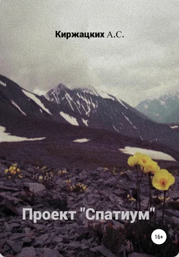 Александр Киржацких Проект «Спатиум» обложка книги