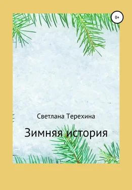 Светлана Терехина Зимняя история обложка книги