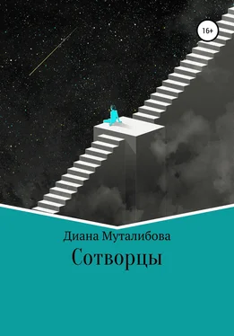 Диана Муталибова Сотворцы обложка книги