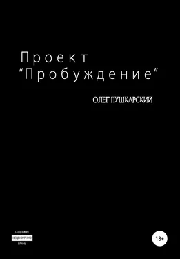 Олег Пушкарский Проект «Пробуждение» обложка книги