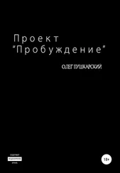 Олег Пушкарский - Проект «Пробуждение»