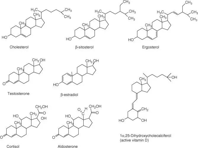 Figure 25 Cholesterol and related sterols Cholesterol β sitosterol replaces - фото 10