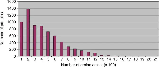 Figure 212 Size of proteins in yeast Saccharomyces cerevisiae The yeast - фото 17