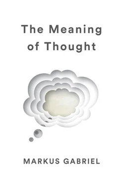 Markus Gabriel The Meaning of Thought обложка книги