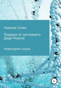 Надежда Гусева Подарок от настоящего Деда Мороза обложка книги