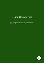 Нелли Ишбулатова - Дед Мороз, мешок и два свертка