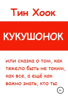 Тин Хоок Кукушонок, или Сказка о том, как тяжело быть не таким, как все, а ещё как важно знать, кто ты обложка книги