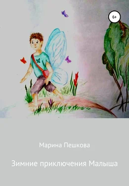 Марина Пешкова Зимние приключения Малыша обложка книги