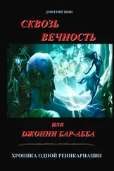 Дмитрий Шин - Сквозь вечность или Джонни Бар-Абба. Хроника одной реинкарнации