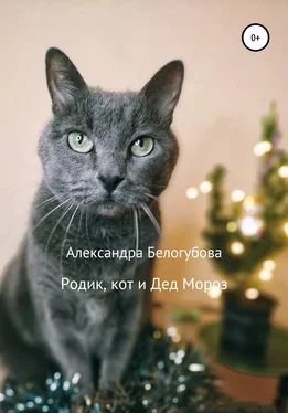 Александра Белогубова Родик, кот и Дед Мороз обложка книги