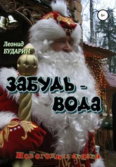 Леонид Бударин - Забудь-вода