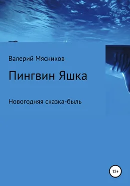 Валерий Мясников Пингвин Яшка обложка книги