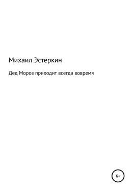 Михаил Эстеркин Дед Мороз приходит всегда вовремя обложка книги