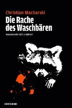 Christian Macharski Die Rache des Waschbären обложка книги