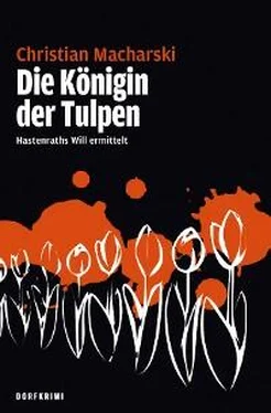 Christian Macharski Die Königin der Tulpen обложка книги