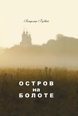 Владимир Губский Остров на болоте обложка книги