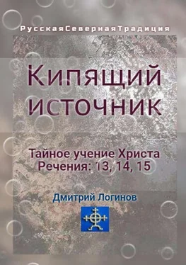 Дмитрий Логинов Кипящий источник. Тайное учение Христа. Речения 13, 14, 15 обложка книги