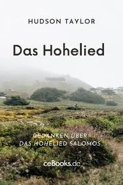 Hudson Taylor Das Hohelied обложка книги