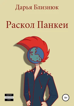 Дарья Близнюк Раскол Панкеи обложка книги