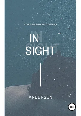 Дарья Андерсен Insight. Современная поэзия обложка книги