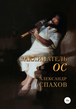 Александр Спахов Заклинатель Ос обложка книги
