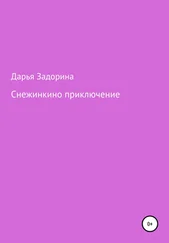 Дарья Задорина - Снежинкино приключение