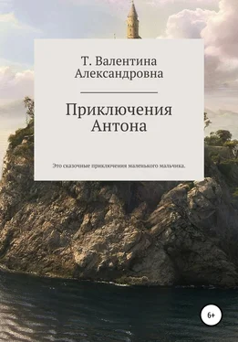 Валентина Токаева Приключения Антона обложка книги