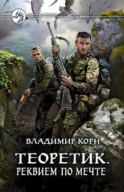 Владимир Корн Теоретик. Реквием по мечте обложка книги