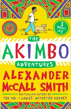 Alexander Smith The Akimbo Adventures обложка книги