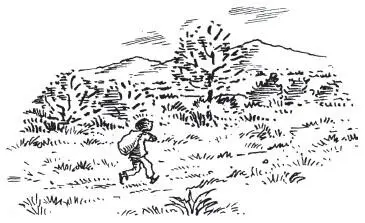 As his father had warned him the walk was not easy And carrying a chunk of - фото 18