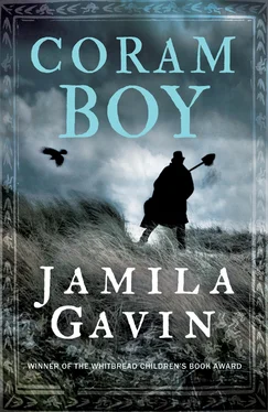 Jamila Gavin Coram Boy обложка книги