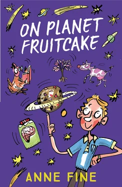 Anne Fine On Planet Fruitcake обложка книги