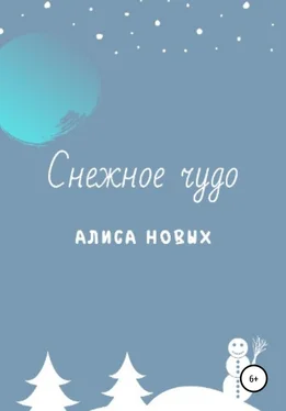Алиса Новых Снежное чудо обложка книги