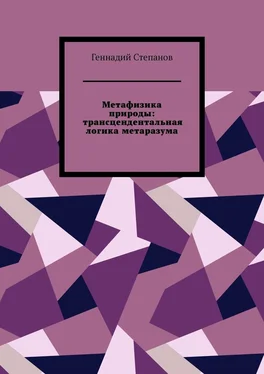 Геннадий Степанов Метафизика природы: трансцендентальная логика метаразума обложка книги