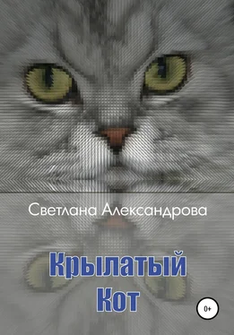 Светлана Александрова Крылатый Кот обложка книги