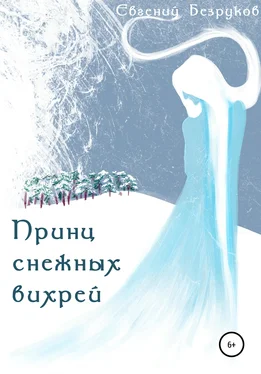 Евгений Безруков Принц снежных вихрей обложка книги
